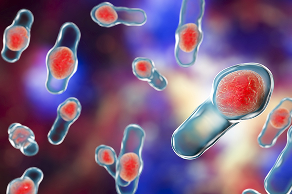 Lab4 Probiotics Clostridium difficile Study